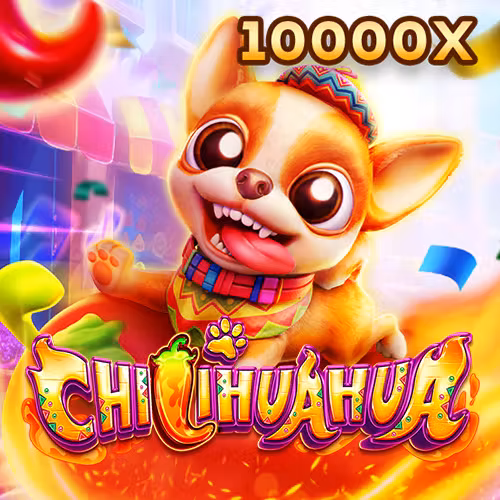 BJ88 FaChai Chihuahua